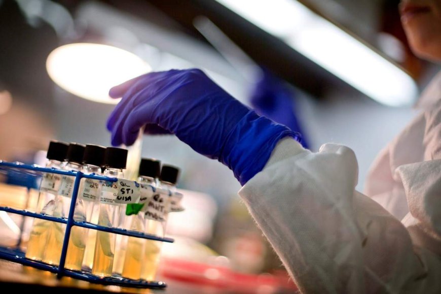 Stanford scientists just used AI to build a virus to target E. coli