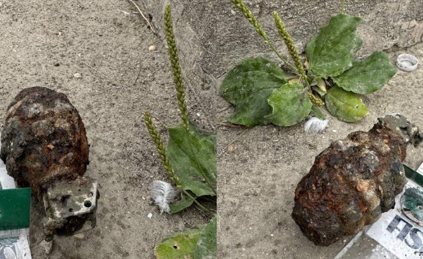 Angler reels in training grenade from Red River in Selkirk: RCMP