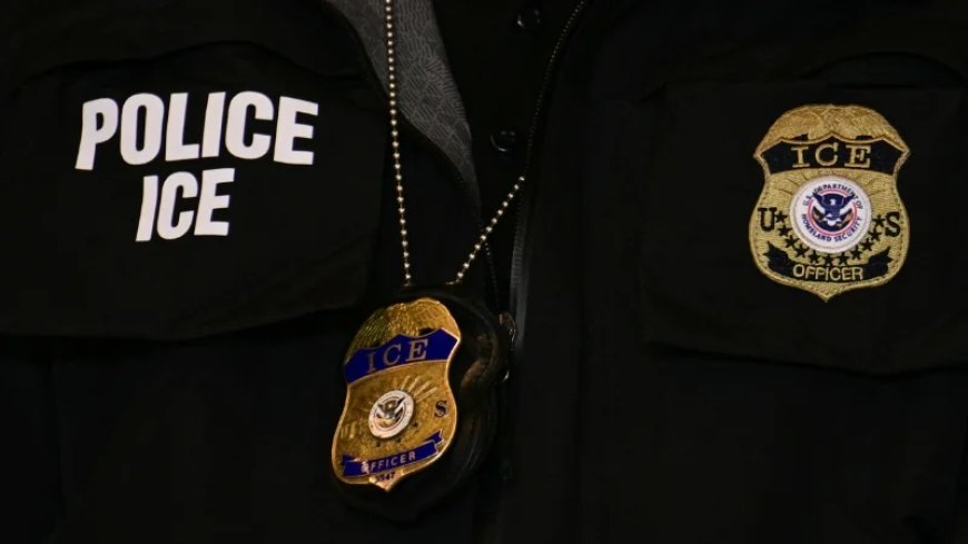 Poll Shows Support for Mass Deportation of Illegals Is Growing