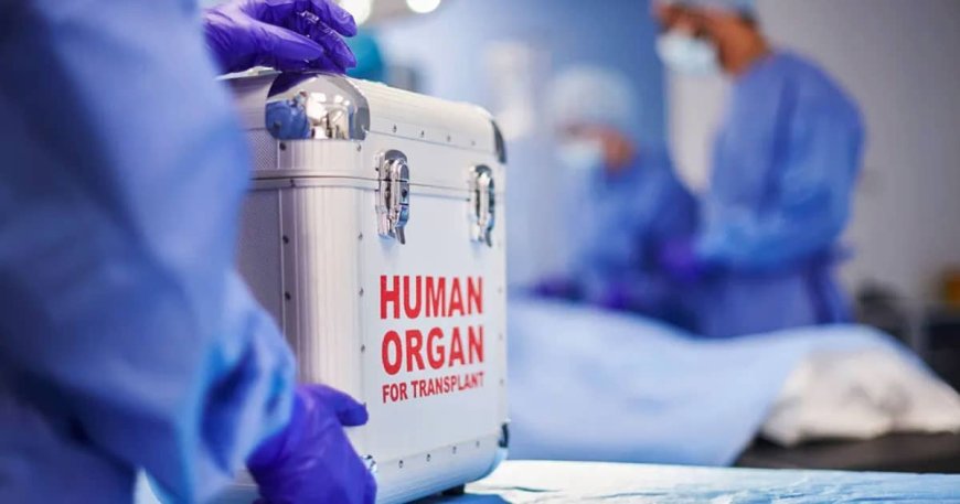 Federal Investigation Finds Organs Harvested from Living Patients