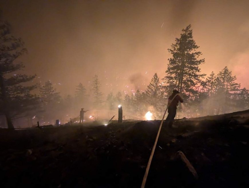 Photos of Bald Range fire near Summerland show aggressive wildfire growth