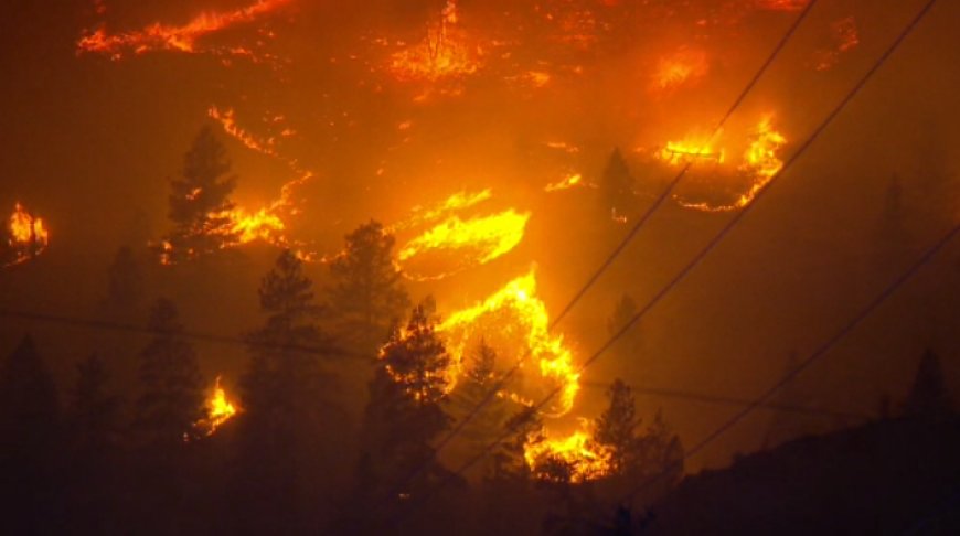 Video shows rapid night growth of Bald Range fire near Summerland