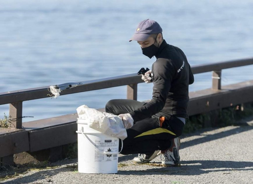 Quebec group leads 16-day shoreline cleanup