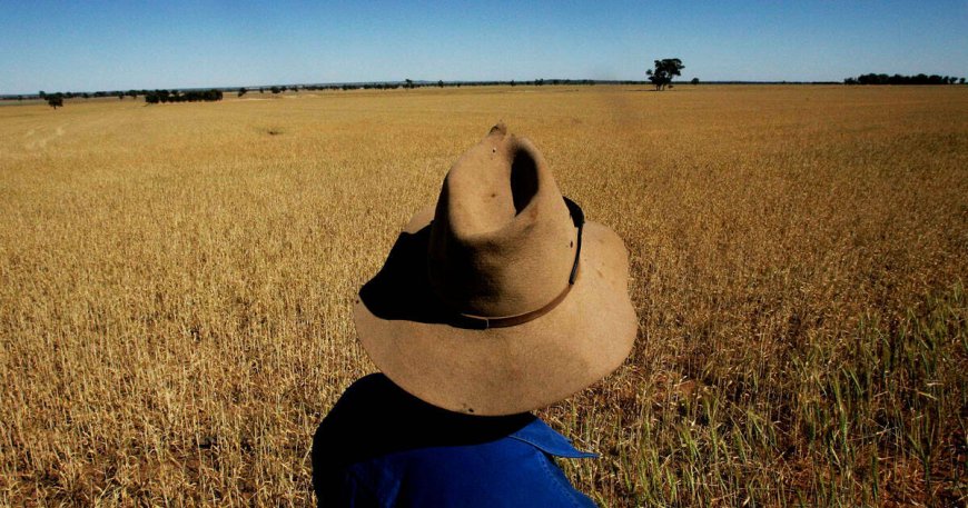 AI ‘Farmer’ Completely Destroys 25 Acres of Crops