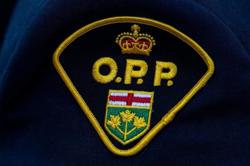 Bus driver charged after rollover in Ontario town leaves 17 injured