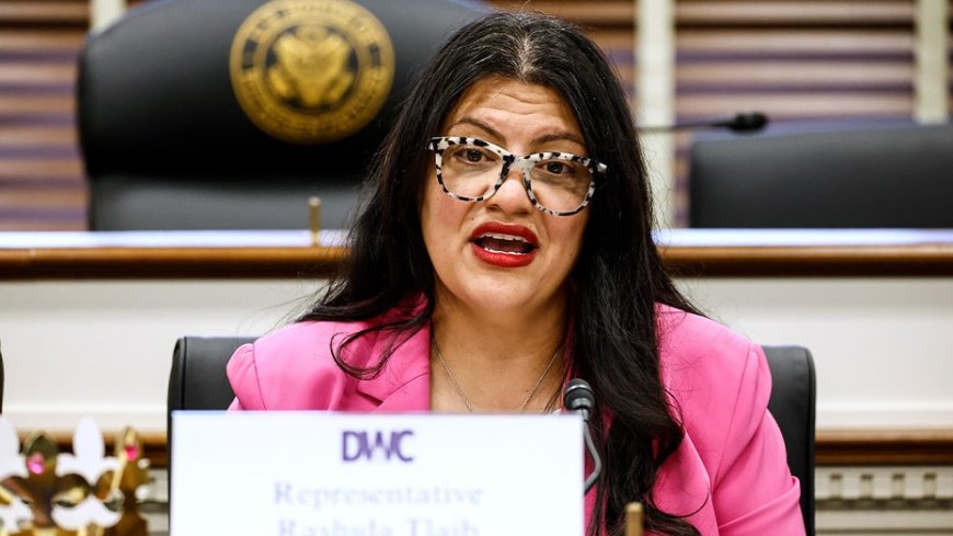 Tlaib under fire for working to unseat two Jewish House Democrats in Florida: 'No coincidence'