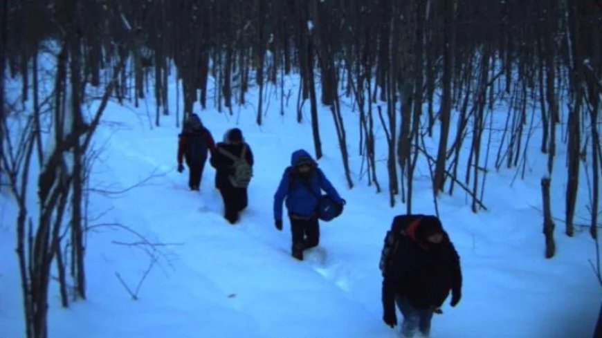 New York Woman Smuggled Indian Illegals Across Northern Border Hours Before Trump Inauguration