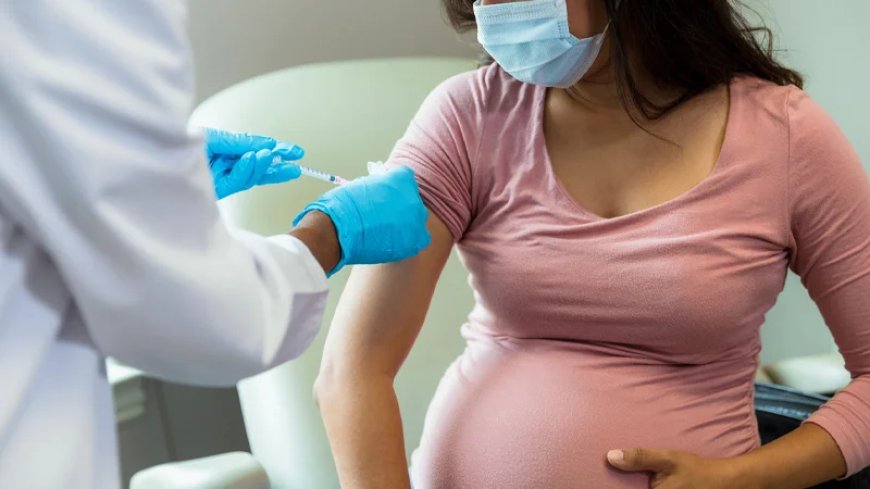 Video: Former CDC Director Says It Was ‘Mistake’ to Recommend Covid Vaccine to Pregnant Women