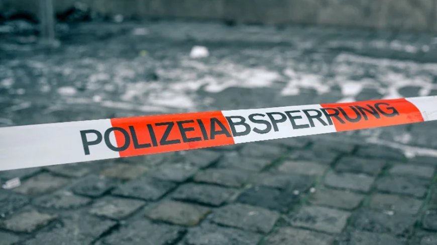 3 Syrians Gang Raped And Urinated On A 10-Year-Old Girl In Germany