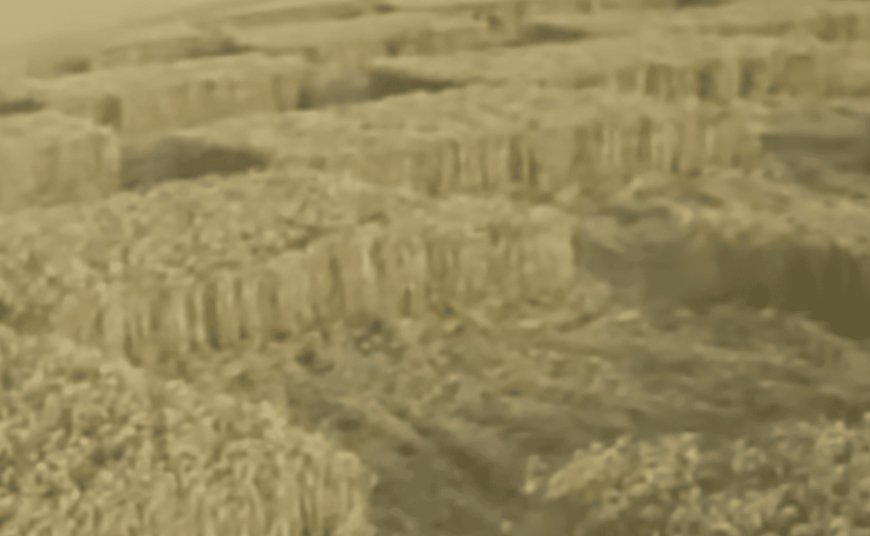 The Crop Circle Data Scientists Still Can’t Explain
