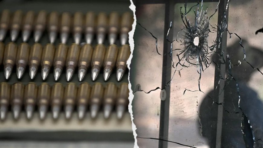 Nevada man funneled 140 guns to violent Mexican drug cartels, including powerful 'military-style' rifles: DOJ