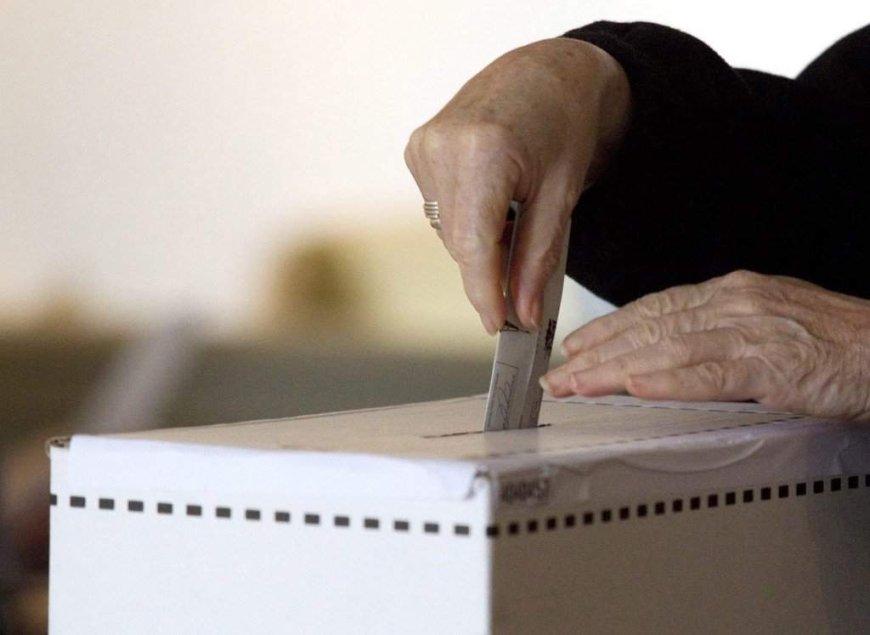 Fewer people running for trustee in some of Ontario’s supervised school boards