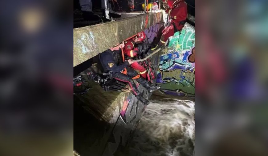 Man rescued from storm drain at Saskatoon dog park