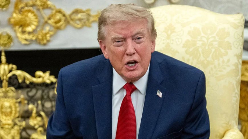 ‘I Won The Election’: Trump Reveals Census Bureau Found 24,000 Noncitizens Voted In 2020