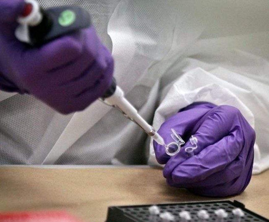 DNA technology helps identify New Brunswick woman decades after death