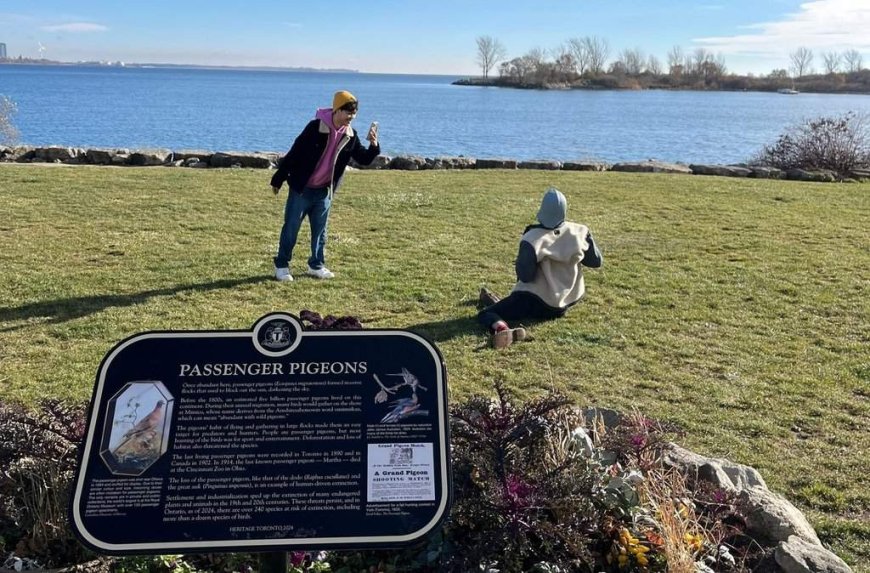 Heritage Toronto’s Plaque Friday videos showcase city’s history with viral moments
