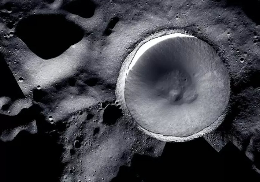 NASA study finds Earth fungi could survive up to 7 days near lunar south pole