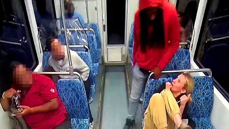 Iryna Zarutska's family files wrongful death lawsuit alleging no security guard was on train