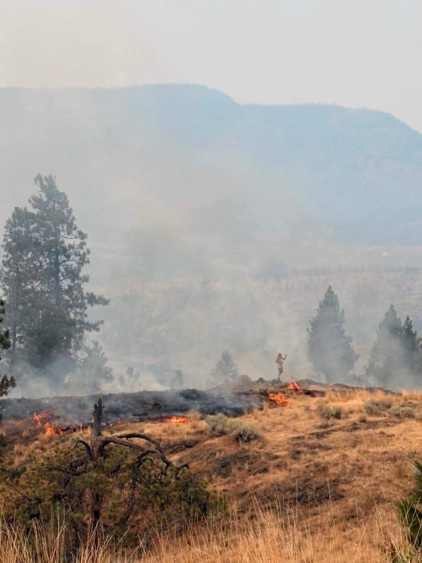 Suspicious fire on Knox Mountain after witness snaps photo of shirtless man among flames