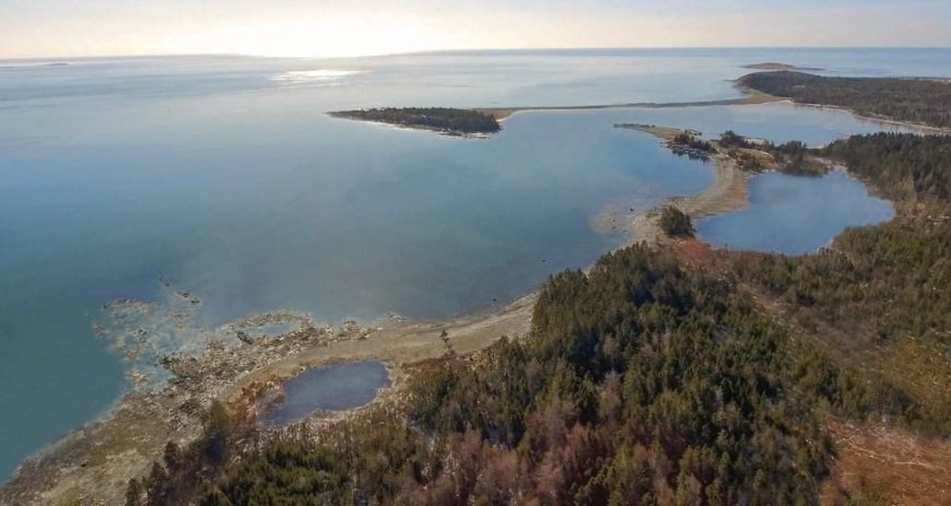 Whale sanctuary project secures 20-year Nova Scotia lease despite ongoing opposition