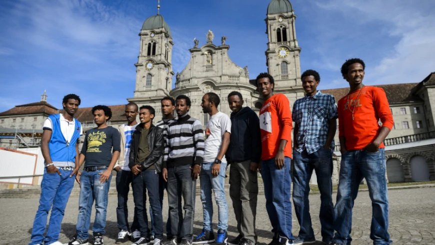 Switzerland: 80% of North African ‘Asylum Seekers’ Have Been Accused of One or More Crimes