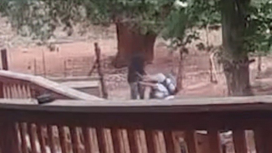 NYC mom survives neck-slash attack on hiking trip in Arizona: 'I can’t die like this'