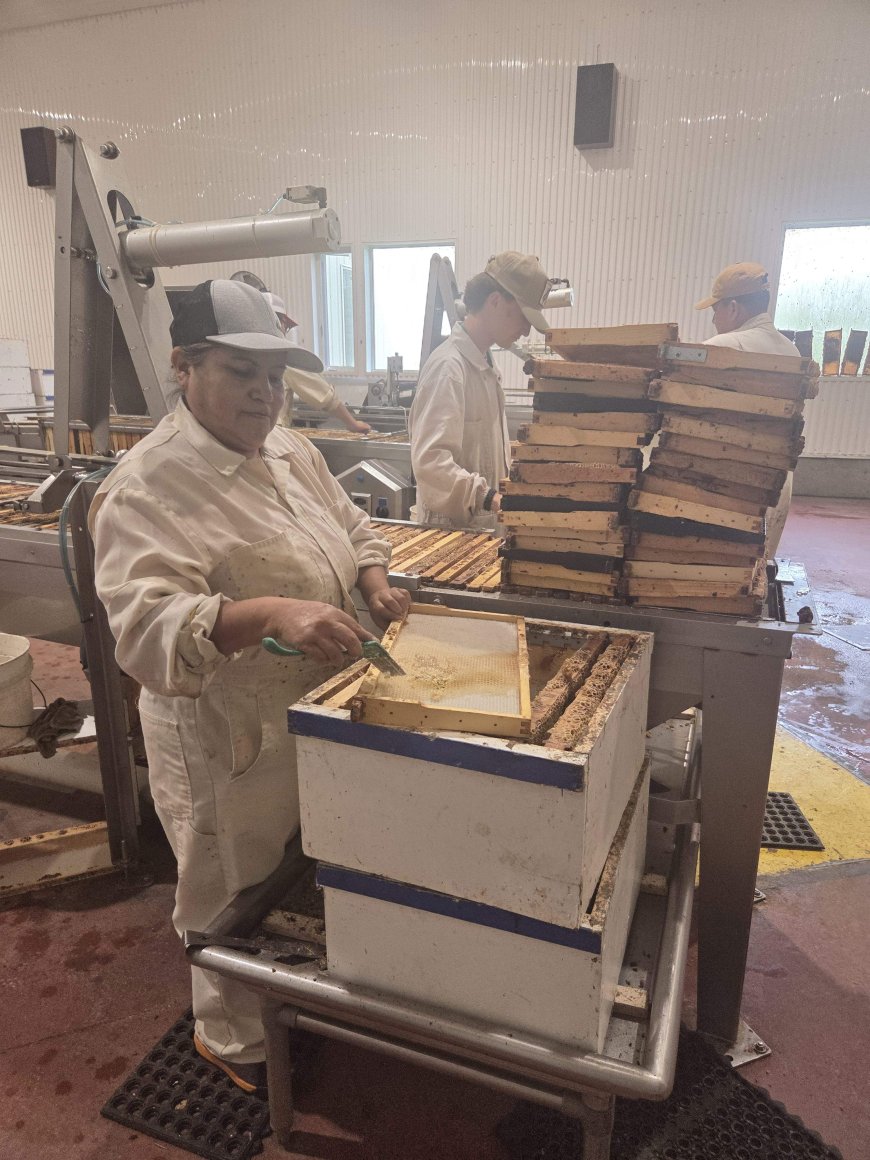 Saskatchewan honey producers face uncertain future amid Canada-U.S. trade war