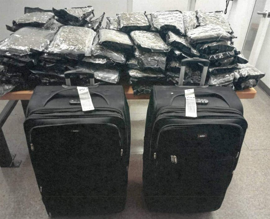 2 Air Canada employees arrested in RCMP drug probe at Montreal airport