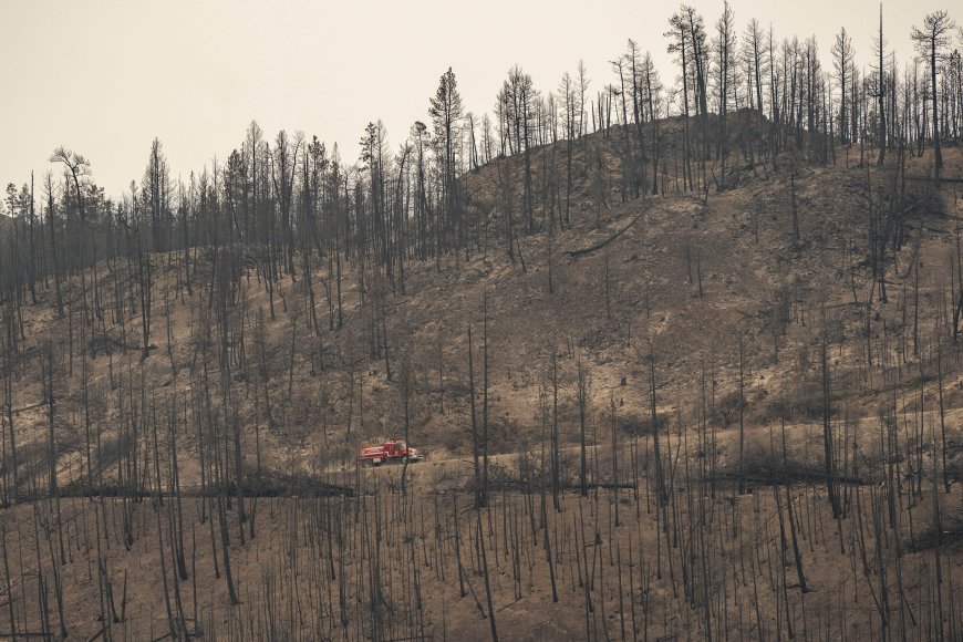 Questions raised about B.C.’s approach to prescribed burns ahead of wildfire season