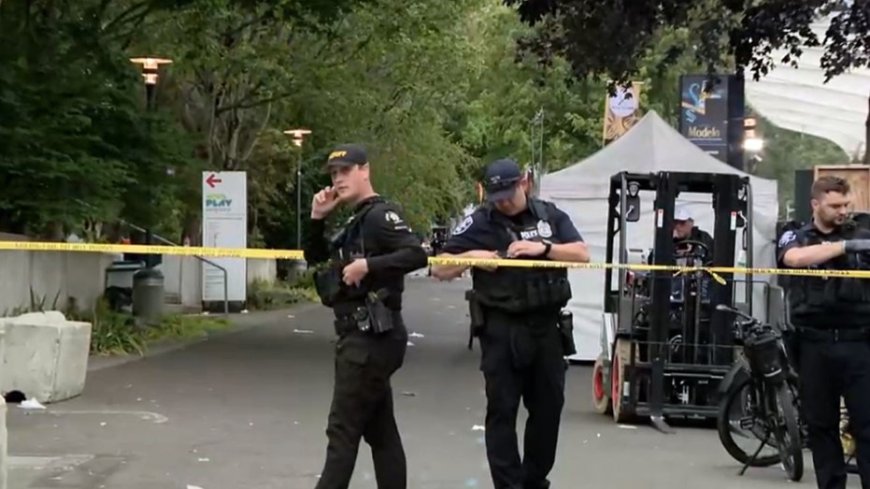 HEAR IT: 911 call captures horrifying first moments of deadly shooting at Seattle’s Bite of Seattle festival