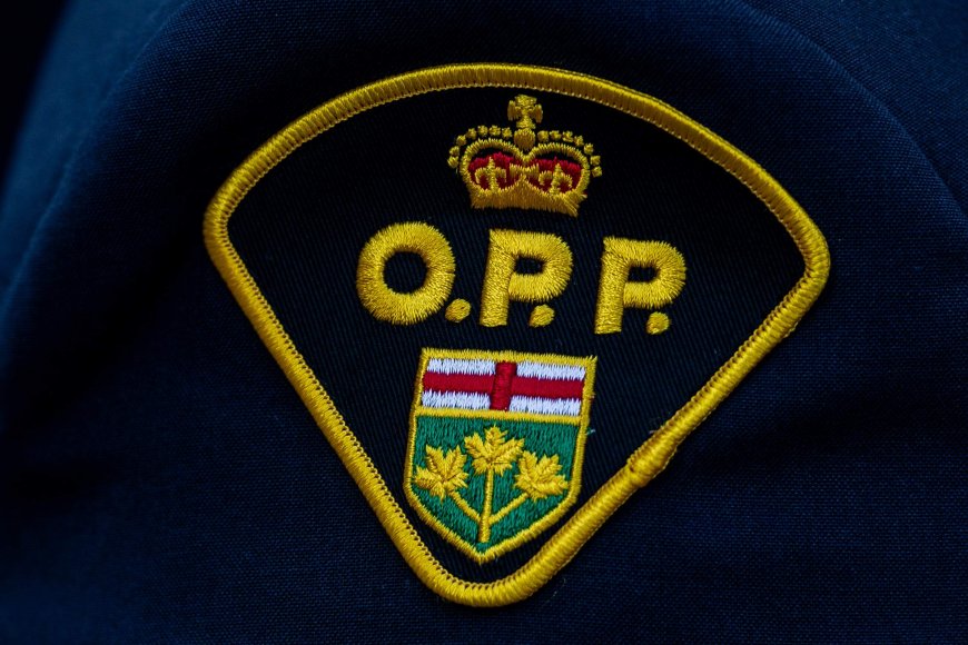 Beachgoers find body of missing Scarborough swimmer: OPP
