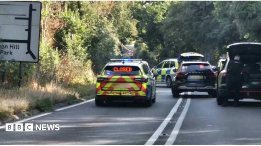 Woman injured in fatal police pursuit crash dies