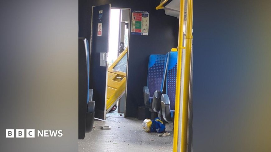 Mum says family 'lucky to be alive' after train crash