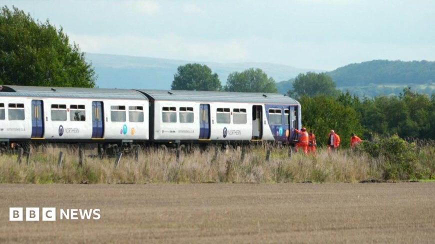 Fears over 'high risk' crossing after train crash death