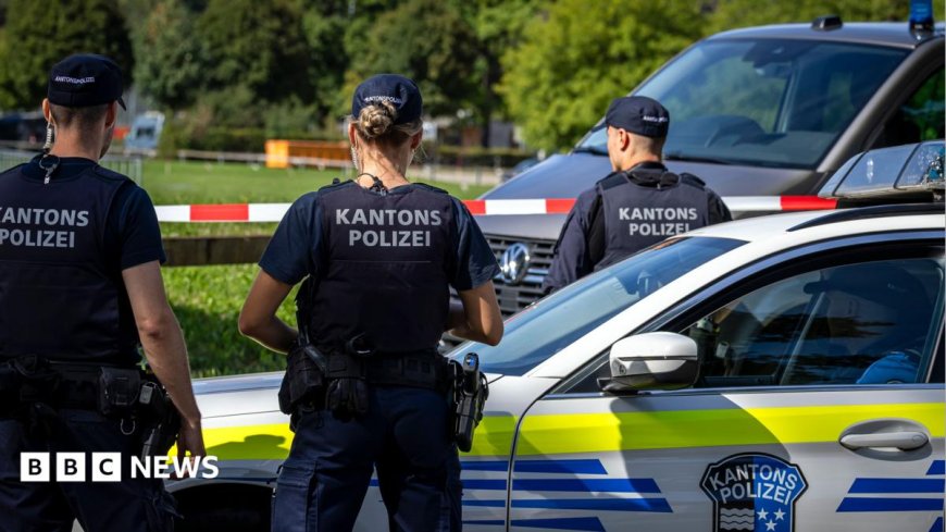 Man arrested after Swiss rave shooting that killed woman