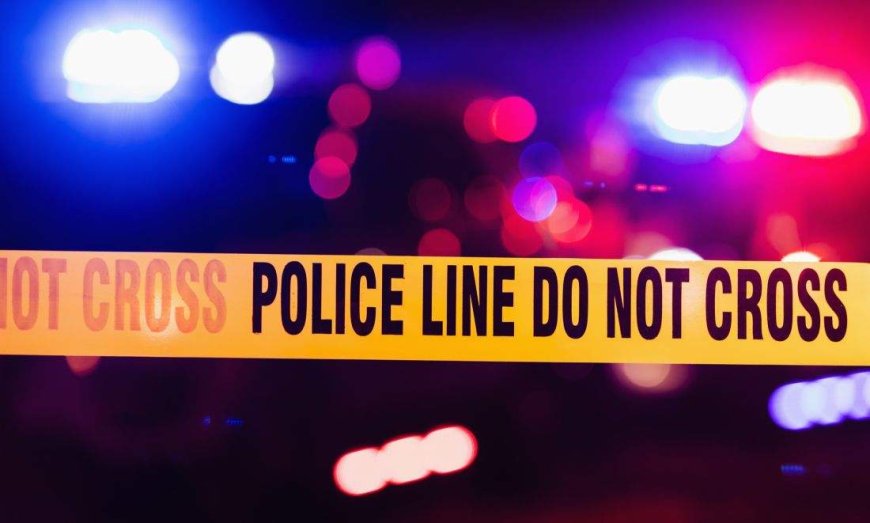 Man behaving ‘erratically’ dies after Winnipeg police Taser him: IIU
