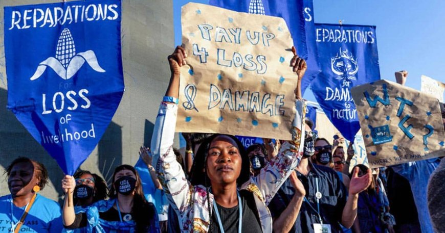 United Nations Demands Americans Pay Slavery Reparations