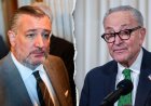 Ted Cruz names ‘most powerful Democrat’ as he warns socialist rise has paralyzed bipartisanship