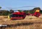 Police probe after child dies in woodland
