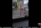VIDEO: Islamic Invader Stabs Dog That Was Protecting UK Woman From Assault In Broad Daylight!