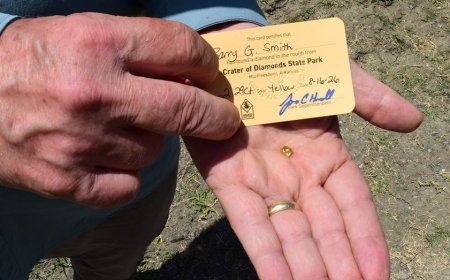 Grandfather finds hidden treasure in plain sight as park officials 'dumbfounded' by discovery