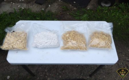 Car, guns, fentanyl seized in Ontario drug trafficking investigation