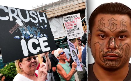White House brings receipts after media claims noncriminal ICE arrests ‘soaring’: ‘False narratives’