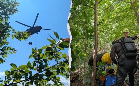 North Carolina climber airlifted after plunging 20 feet down gorge, sustaining serious injuries