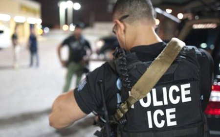 Suspect in custody for strangling Massachusetts woman to death in her home is Brazilian illegal immigrant