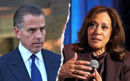 Hunter Biden says Kamala Harris is getting 'bad political advice,' refuses to explain loyalty criticism