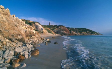 Woman in hospital after ‘potential shark bite’ off Martha’s Vineyard