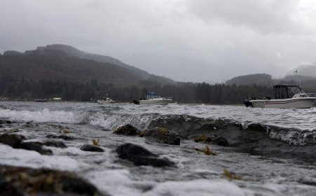 B.C. coast, parts of Vancouver Island set to see heavy rains, strong winds