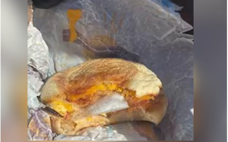 Australian police find meth hidden inside McMuffin breakfast sandwich