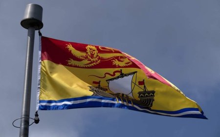 New Brunswick wants public feedback on data centre plan